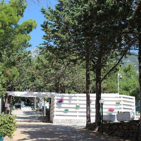 Camping Car Palmasera Cala Gonone Exterior foto